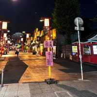 ほおずき市に行くの巻