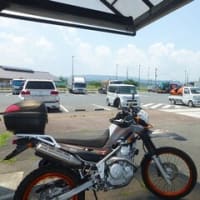 動態保存という名のツー