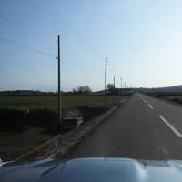 「煩悩林道2025」vol.18「裏275号」