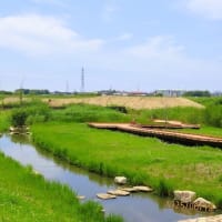 今日は水辺公園・自然ふれあい生態園へ