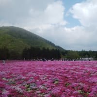 やっぱり私変わっているかも・・・