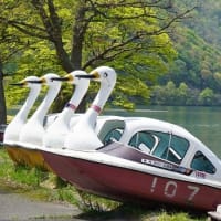 みちのく一人旅　青森県１
