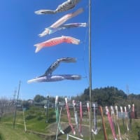 【アメブロへお引越しします】