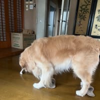 パフューム？