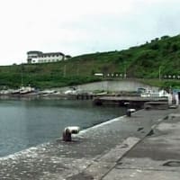 海鳥のサンクチュアリ　天売島と森林浴を楽しむメルヘンの焼尻島　２７回目　天売島