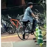 皇室ウイークリー