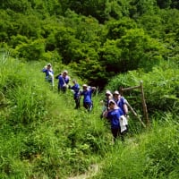 西会津研修を振り返って🌸