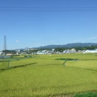 新しいベーターバージョンでの投稿
