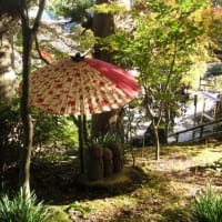 長谷寺