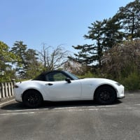うろうろ