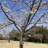 2025年4月初旬