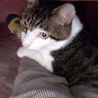 ぬくもり