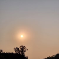 朝空