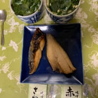 今夜は