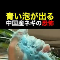 青い泡が出る中国産ネギの恐怖