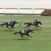 完勝･･