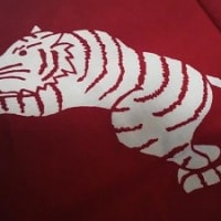 雪予報のお出かけに、TORA×３