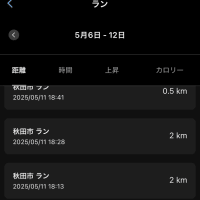 ランニング　5/11(日) インターバル？2km×3