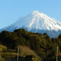 今朝の里の景色と富士