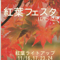 「紅葉フェスタ」