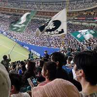 4年ぶりに交流戦！　頑張れぇ〜ホークス！