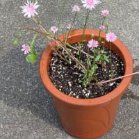 引っ越し作業完了しました