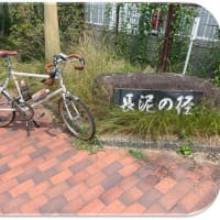 『合歓の木』…長泥の径