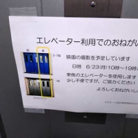 今度は映画の撮影かよ・・・・・。