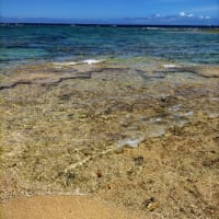 今年の海はここで決まり！