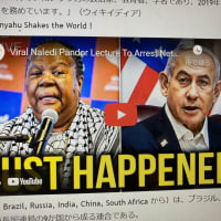 ネタニヤフ首相逮捕へ！ナレディさんの講演が世界を震撼させる ！Viral Naledi Pandor Lecture To Arrest Netanyahu Shakes the World !