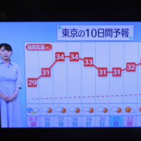 6/15 昨日は天気を撮り忘れた
