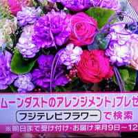 4/30・・めざましテレビお花プレゼント(明日まで)