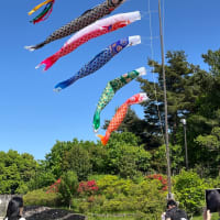 皐月の立夏　昭和記念公園で新緑を愛でる