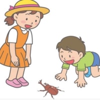 コン爺　カブトムシになりました❣️