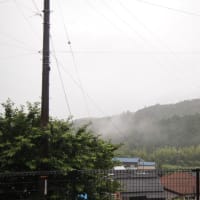 今日の野村町の空模様