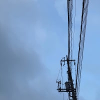 2025/07/09