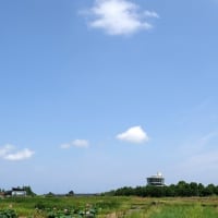 梅雨の晴れ間に、福島潟のハスを訪ねて