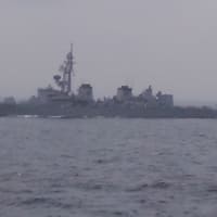 東京湾フェリーから観艦式帰りの海上自衛隊艦隊を見るツアーなう