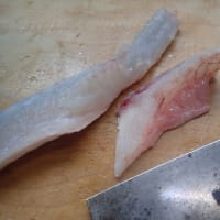 メゴチがマゴチに化けた日（後編）