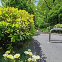 井岡一翔の熱闘に水を差すような“暴挙”に元王者・内山高志氏が激怒「ふざけんな、マジで！」・・・　スポーツ教育！