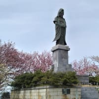 二上山城山の八重桜