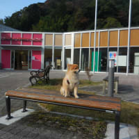 四国に行ってきました。