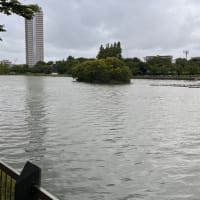 火曜日はお休みです。