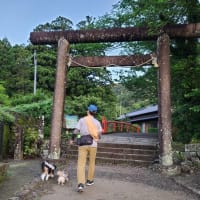｢熊野古道｣大門坂を歩く（前編）～GW三重和歌山旅行⑤