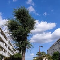 プチプチアニメ すなあそび 掲示板といっしょ プチプチアニメ すなあそび 掲示板といっしょ