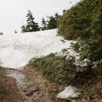 ２０２５年６月６日　北八甲田　仙人岱　地獄湯ノ沢のようす