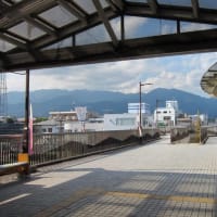 篠窪（しのくぼ）の隣町 龍生派窪寺様が「夏の調和」を生ける(2025/06/17）