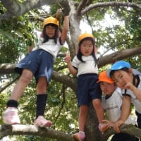 今週の幼稚園