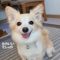 引っ越し作業に移ります