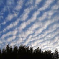 空　模様